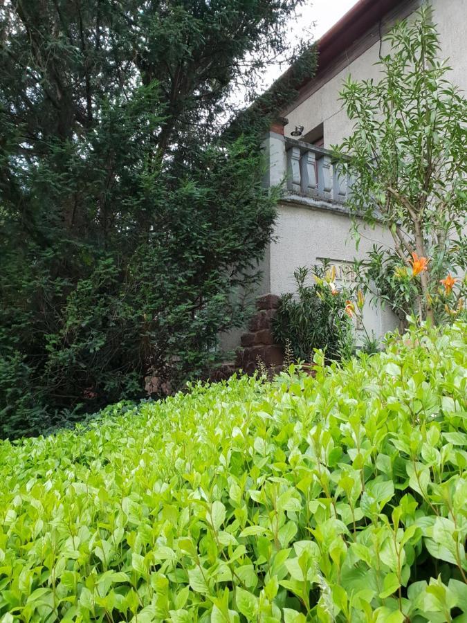 Kasza Villa Balatonfüred Extérieur photo