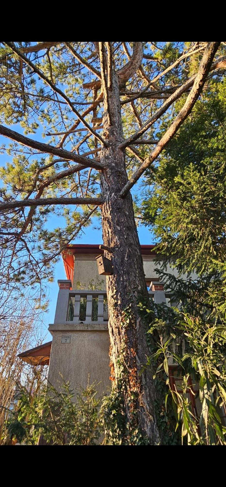 Kasza Villa Balatonfüred Extérieur photo